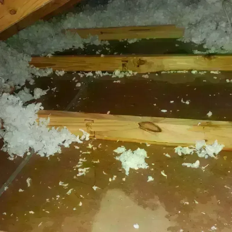 Attic Water Damage in Third Lake, IL