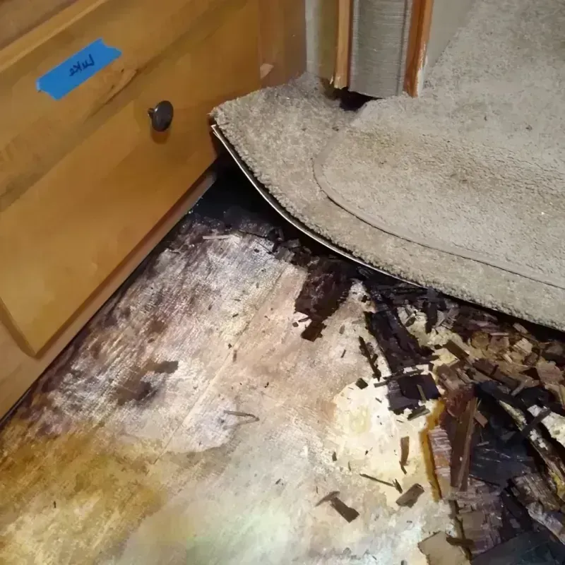 Wood Floor Water Damage in Third Lake, IL